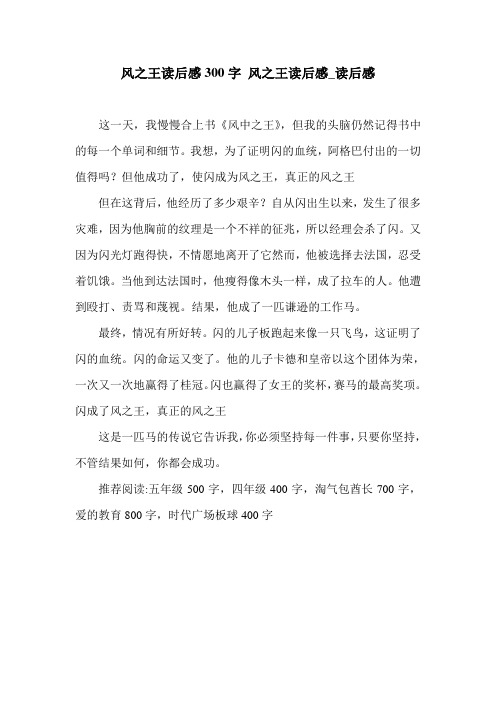 风之王读后感300字 风之王读后感_读后感.doc