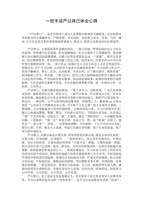 一把手谈严以律己体会心得