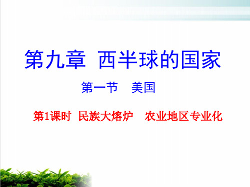 人教版七年级地理下册西半球的国家第一节美国民族大熔炉农业地区专业化PPT完整版