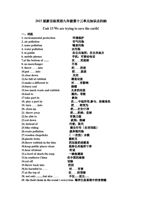 2015版新目标英语九年级Unit13知识点 归纳
