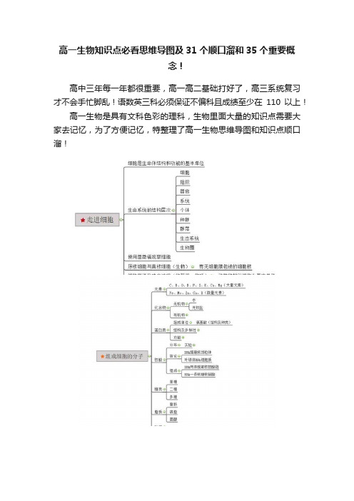 高一生物知识点必看思维导图及31个顺口溜和35个重要概念！