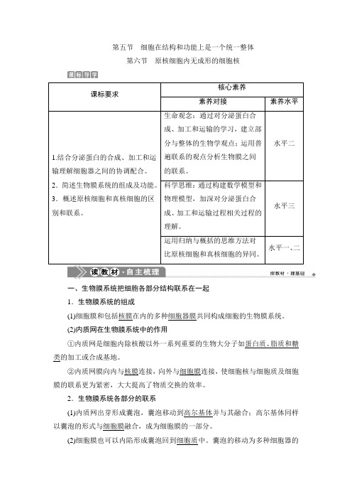 浙科版 必修一  细胞在结构和功能上是一个统一整体  原核细胞内无成形的细胞核 教案