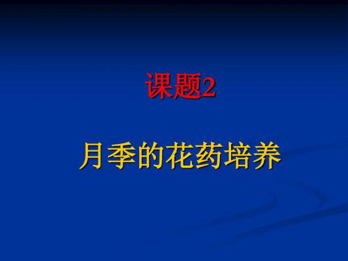 月季的花药培养