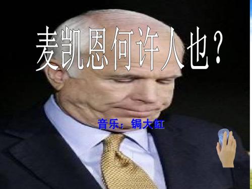 麦凯恩何许人也？