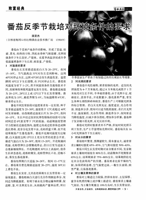 番茄反季节栽培对环境条件的要求