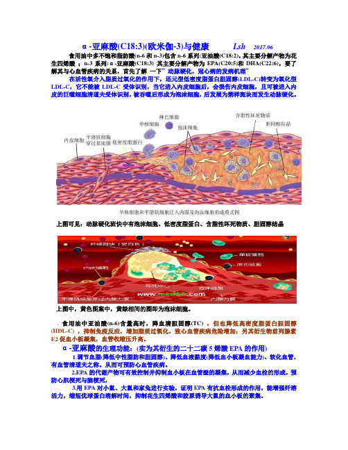 a-亚麻酸(欧米伽-3)与健康