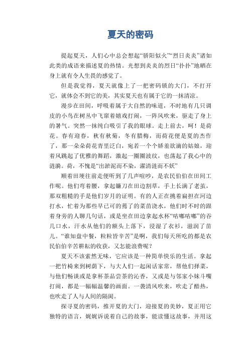 高中生优秀作文精选：夏天的密码