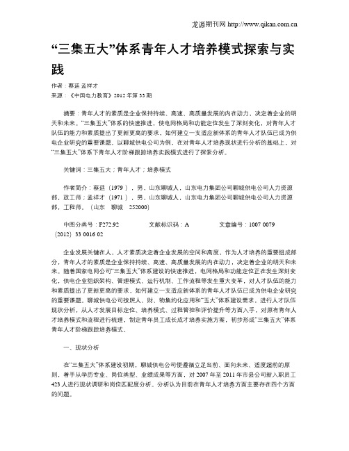 “三集五大”体系青年人才培养模式探索与实践