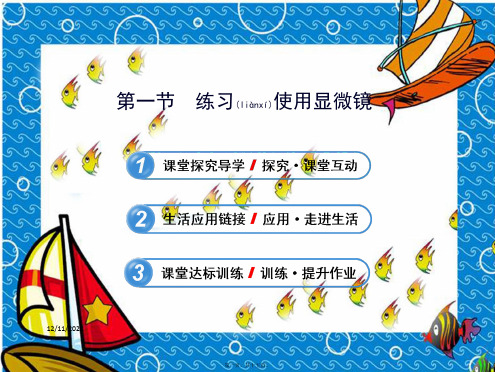 七年级生物上册 第一章 第一节 练习使用显微镜课件 