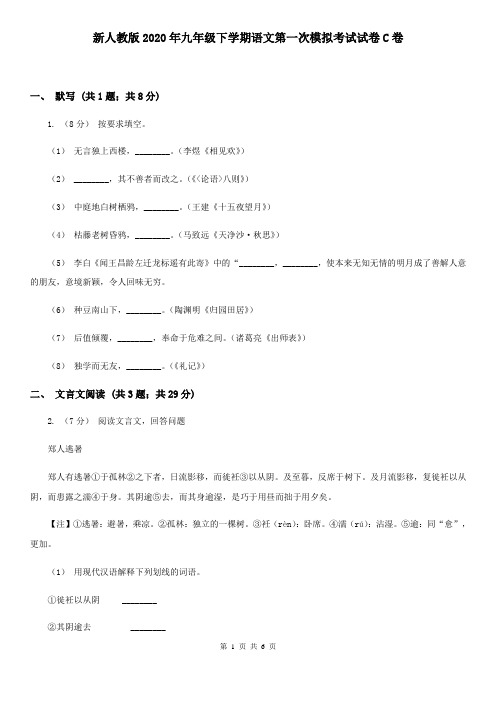 新人教版2020年九年级下学期语文第一次模拟考试试卷C卷