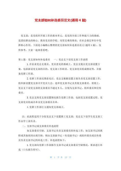 党支部如何补选委员范文(通用4篇)