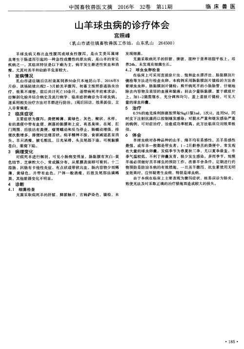 山羊球虫病的诊疗体会