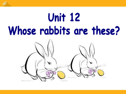 《Whose rabbits are these》PPT课件