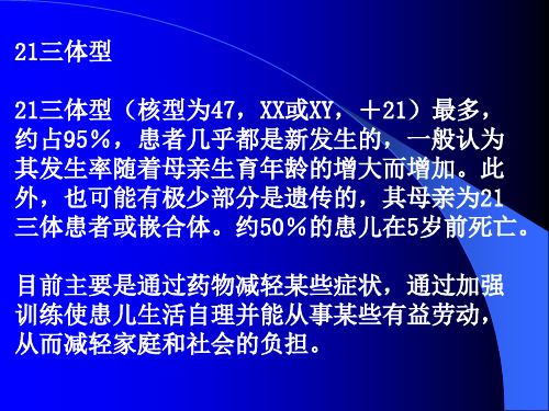 染色体小结精品PPT课件