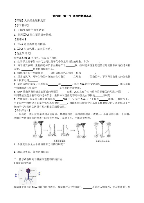 4.1遗传的物质基础 学案 济南版八年级上册生物