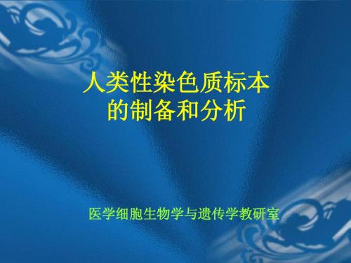 人类性染色质标本的制作与分析