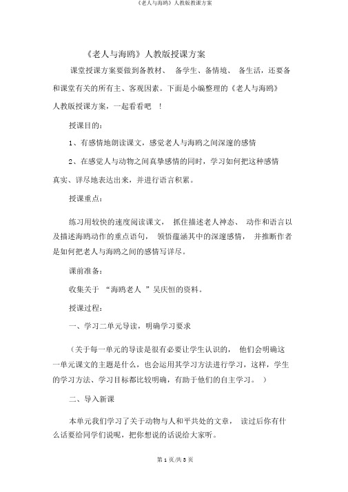 《老人与海鸥》人教版教学设计