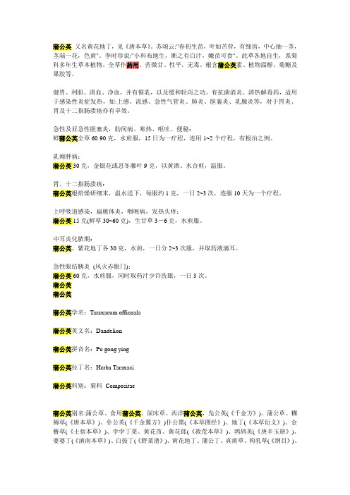 蒲公英 又名黄花地丁