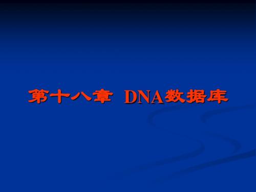 DNA数据库