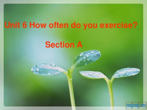 Unit6 How often do you exerciseSection A