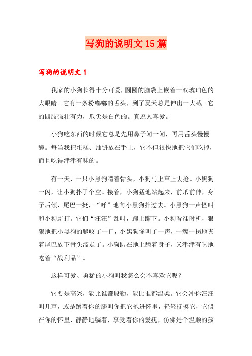 写狗的说明文15篇