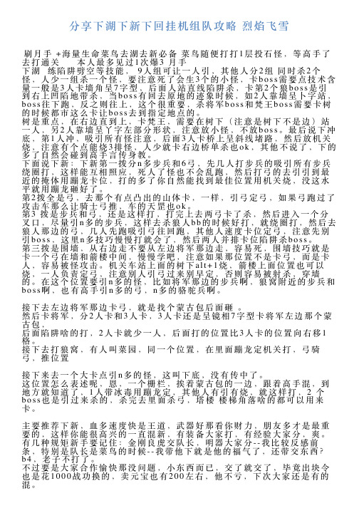 分享下湖下新下回挂机组队攻略烈焰飞雪