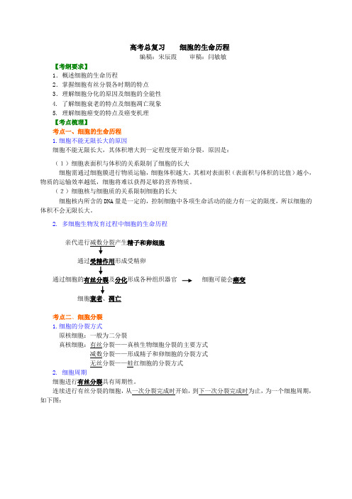 高中生物001-知识讲解——细胞的生命历程