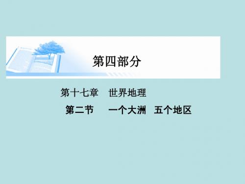 2015届高考地理总复习 第十七章 第二节一个大洲五个地区精讲课件