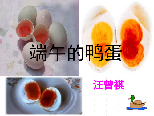 【精品】《端午的鸭蛋》公开课PPT课件精品文档18页