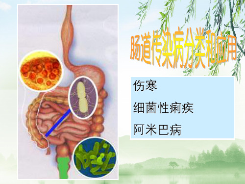 肠道传染病分类与应用伤寒细菌性痢疾阿米巴病
