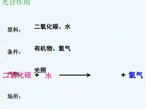广东省汕头市七年级生物上册 3.5.2绿色植物的呼吸作用教案 (新版)新人教版