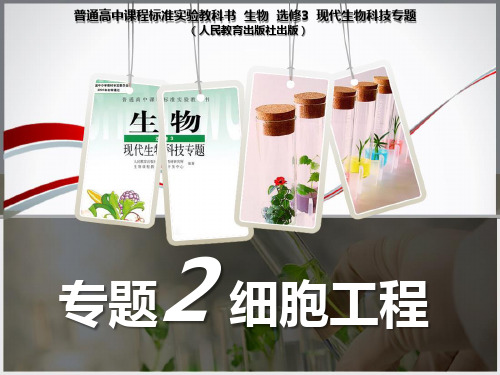 人教版高中生物选修3专题二2.1.1 植物细胞工程的基本技术(共27张PPT)