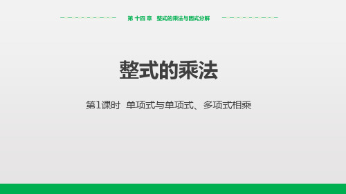 《整式的乘法》ppt课件人教版初中数学1