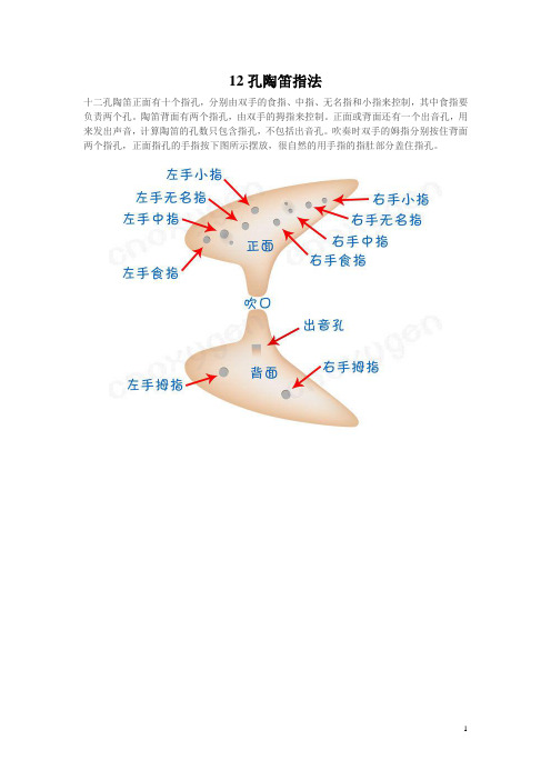 12孔陶笛指法
