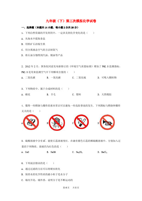 人教版化学九年级下学期第三次模拟试题(含解析)