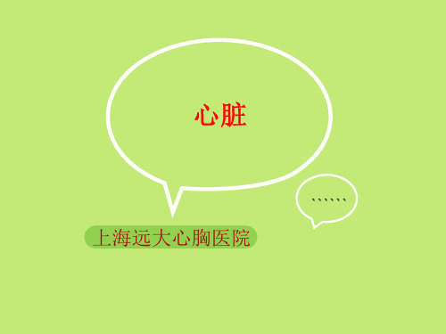 心脏及用药知识