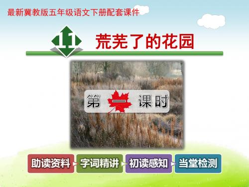 荒芜了的花园PPT课件