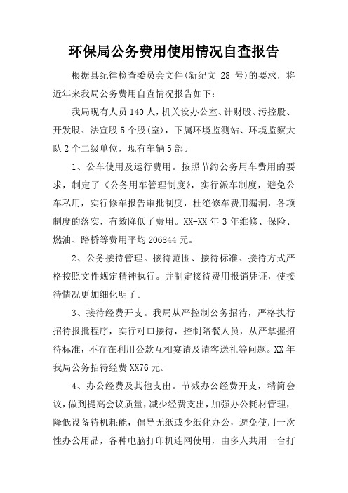 环保局公务费用使用情况自查报告