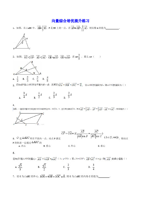 平面向量综合培优提升练习(绝对经典)
