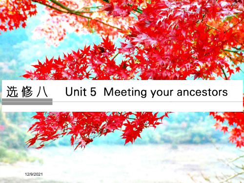 高考英语第1部分基础知识考点unit5meetingyourancestors