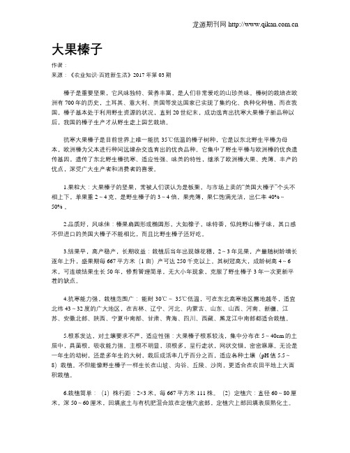 大果榛子