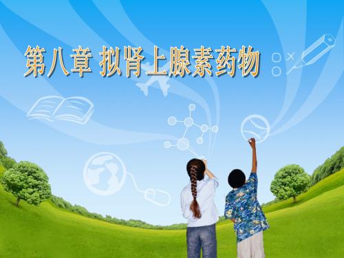 第八章 拟肾上腺素药