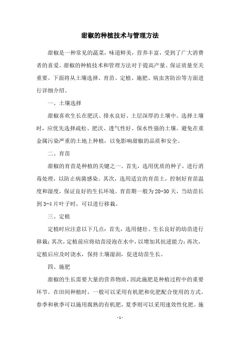 甜椒的种植技术与管理方法
