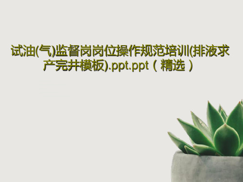 试油(气)监督岗岗位操作规范培训(排液求产完井模板).ppt.ppt(精选)26页PPT