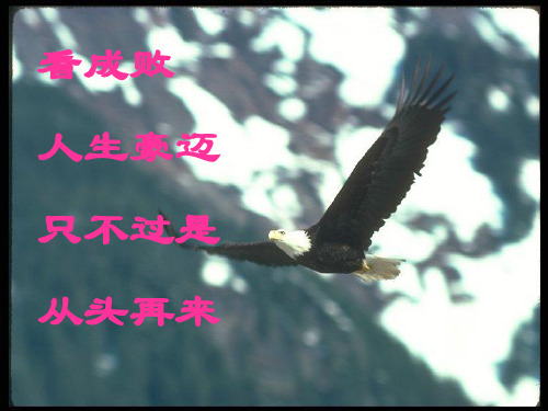 公益广告词课件