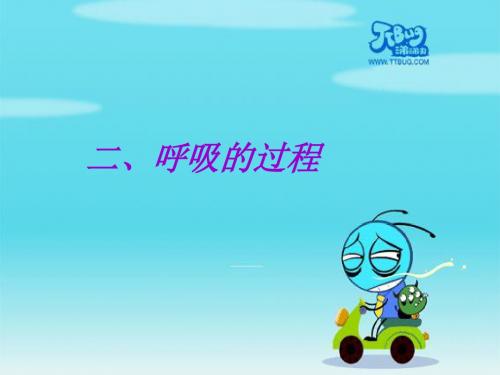 《呼吸的过程》PPT课件