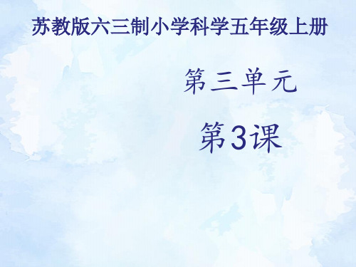 苏教版科学五年级上册课件：《探测暗盒里的电路》课件——第1课时