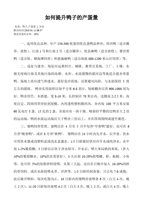(整理)如何提升鸭子的产蛋量