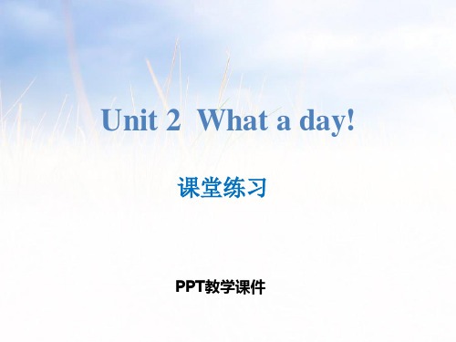 2What a day!精品课件