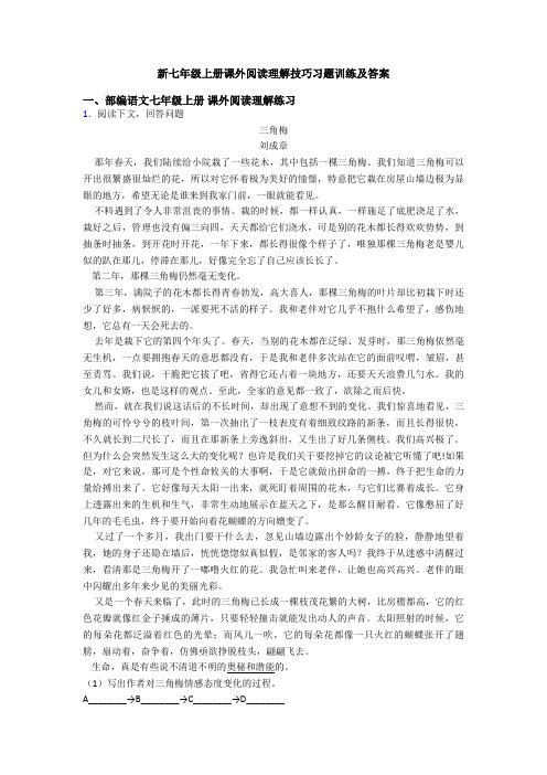 新七年级上册课外阅读理解技巧习题训练及答案